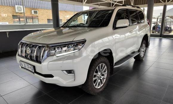 Buy Used Toyota Land Cruiser Prado White Car in Gobabis in Omaheke