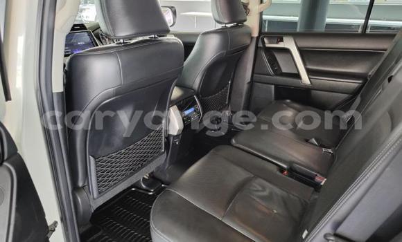 Acheter Occasion Voiture Toyota Land Cruiser Prado Blanc à Gobabis, Omaheke Acheter Occasion Voiture Toyota Land Cruiser Prado Blanc à Gobabis, Omaheke
