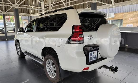 Acheter Occasion Voiture Toyota Land Cruiser Prado Blanc à Gobabis, Omaheke Acheter Occasion Voiture Toyota Land Cruiser Prado Blanc à Gobabis, Omaheke