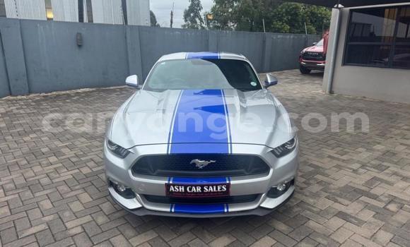Buy Used Ford Mustang Silver Car in Windhoek in Namibia Buy Used Ford Mustang Silver Car in Windhoek in Namibia