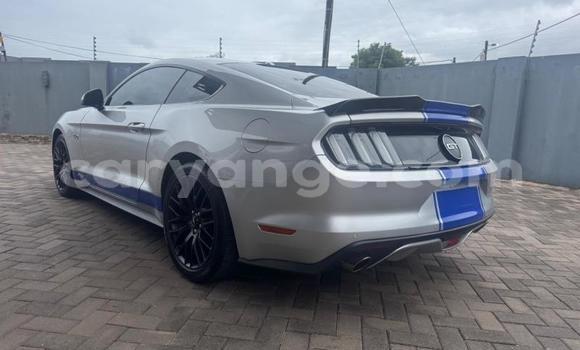 Buy Used Ford Mustang Silver Car in Windhoek in Namibia Buy Used Ford Mustang Silver Car in Windhoek in Namibia
