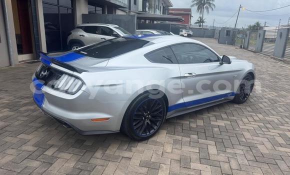 Buy Used Ford Mustang Silver Car in Windhoek in Namibia Buy Used Ford Mustang Silver Car in Windhoek in Namibia