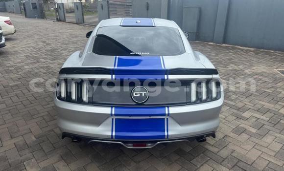 Buy Used Ford Mustang Silver Car in Windhoek in Namibia Buy Used Ford Mustang Silver Car in Windhoek in Namibia