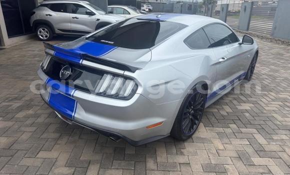 Buy Used Ford Mustang Silver Car in Windhoek in Namibia Buy Used Ford Mustang Silver Car in Windhoek in Namibia
