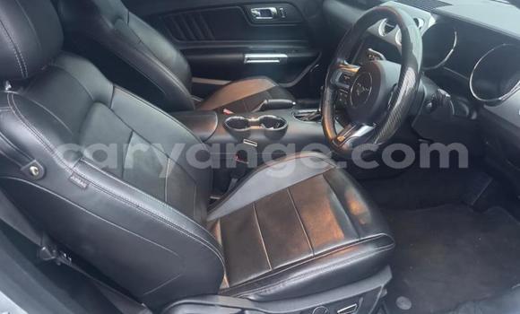 Buy Used Ford Mustang Silver Car in Windhoek in Namibia Buy Used Ford Mustang Silver Car in Windhoek in Namibia