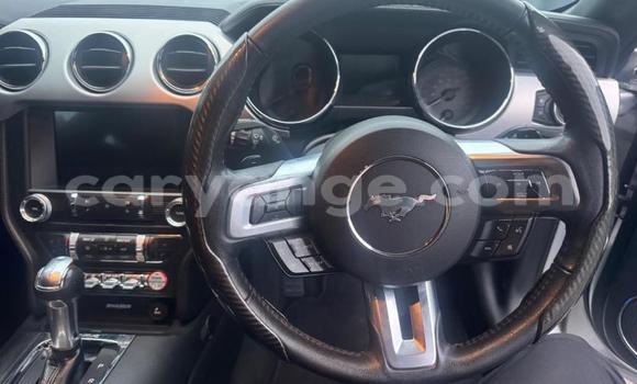 Buy Used Ford Mustang Silver Car in Windhoek in Namibia Buy Used Ford Mustang Silver Car in Windhoek in Namibia