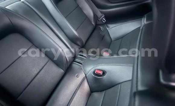 Buy Used Ford Mustang Silver Car in Windhoek in Namibia Buy Used Ford Mustang Silver Car in Windhoek in Namibia