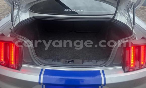 Buy Used Ford Mustang Silver Car in Windhoek in Namibia Buy Used Ford Mustang Silver Car in Windhoek in Namibia