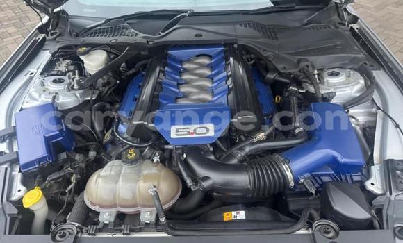 Buy Used Ford Mustang Silver Car in Windhoek in Namibia Buy Used Ford Mustang Silver Car in Windhoek in Namibia