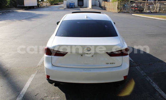 Buy Used Lexus IS White Car in Windhoek in Namibia Buy Used Lexus IS White Car in Windhoek in Namibia