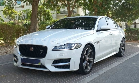 Buy Used Jaguar XF White Car in Windhoek in Namibia