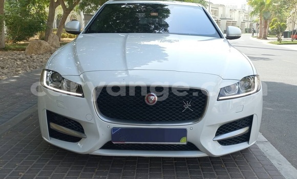 Buy Used Jaguar XF White Car in Windhoek in Namibia Buy Used Jaguar XF White Car in Windhoek in Namibia