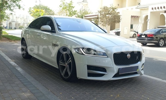 Buy Used Jaguar XF White Car in Windhoek in Namibia Buy Used Jaguar XF White Car in Windhoek in Namibia