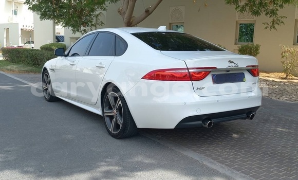 Buy Used Jaguar XF White Car in Windhoek in Namibia Buy Used Jaguar XF White Car in Windhoek in Namibia