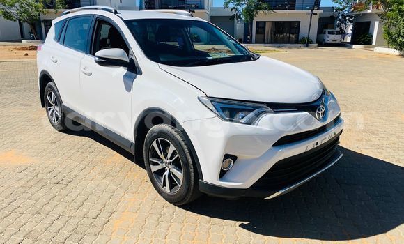 Buy Used Toyota RAV4 White Car in Windhoek in Namibia Buy Used Toyota RAV4 White Car in Windhoek in Namibia