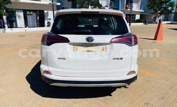 Buy Used Toyota RAV4 White Car in Windhoek in Namibia Buy Used Toyota RAV4 White Car in Windhoek in Namibia