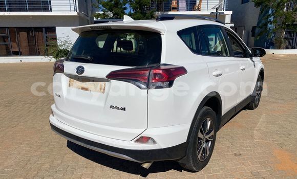 Buy Used Toyota RAV4 White Car in Windhoek in Namibia Buy Used Toyota RAV4 White Car in Windhoek in Namibia
