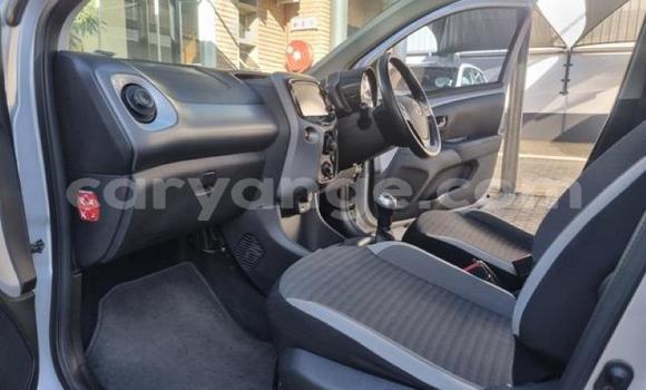 Buy Used Toyota Aygo Silver Car in Gobabis in Omaheke Buy Used Toyota Aygo Silver Car in Gobabis in Omaheke