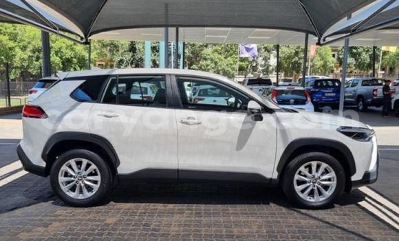 Buy Used Toyota Corolla Cross White Car in Gobabis in Omaheke Buy Used Toyota Corolla Cross White Car in Gobabis in Omaheke