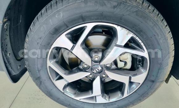 Buy Used Kia Sportage Other Car in Gobabis in Omaheke Buy Used Kia Sportage Other Car in Gobabis in Omaheke