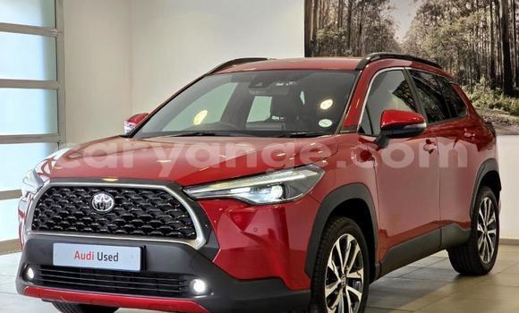 Acheter Occasion Voiture Toyota Corolla Cross Rouge à Gobabis, Omaheke