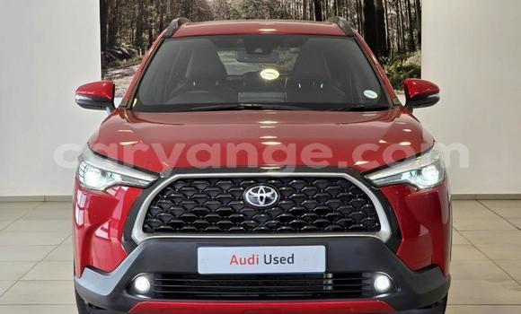 Buy Used Toyota Corolla Cross Red Car in Gobabis in Omaheke Buy Used Toyota Corolla Cross Red Car in Gobabis in Omaheke