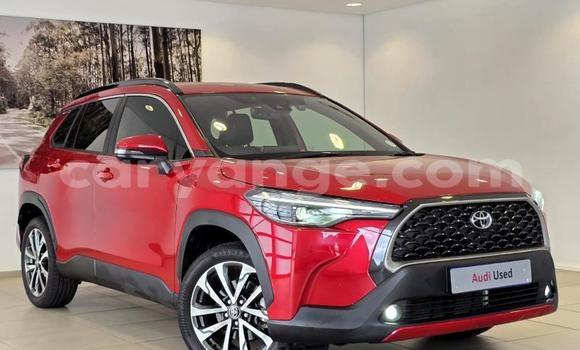 Buy Used Toyota Corolla Cross Red Car in Gobabis in Omaheke Buy Used Toyota Corolla Cross Red Car in Gobabis in Omaheke