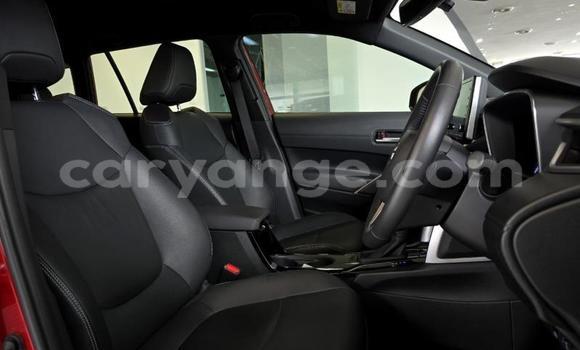 Buy Used Toyota Corolla Cross Red Car in Gobabis in Omaheke Buy Used Toyota Corolla Cross Red Car in Gobabis in Omaheke
