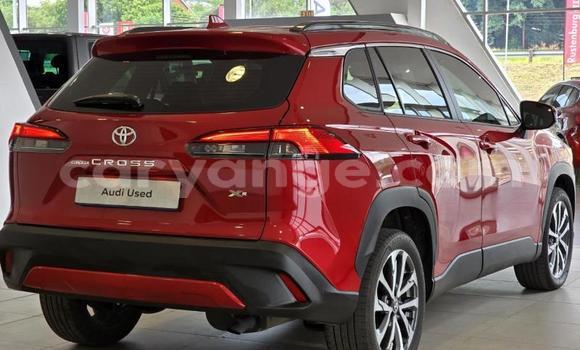 Buy Used Toyota Corolla Cross Red Car in Gobabis in Omaheke Buy Used Toyota Corolla Cross Red Car in Gobabis in Omaheke