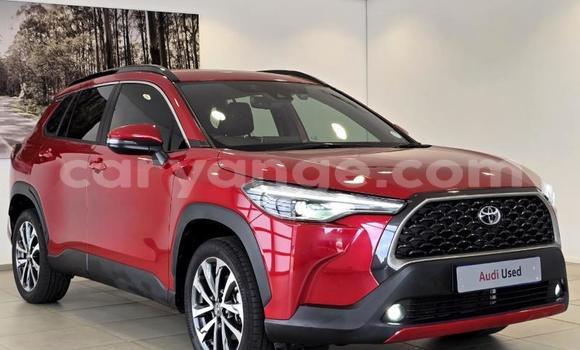 Buy Used Toyota Corolla Cross Red Car in Gobabis in Omaheke Buy Used Toyota Corolla Cross Red Car in Gobabis in Omaheke