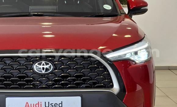 Buy Used Toyota Corolla Cross Red Car in Gobabis in Omaheke Buy Used Toyota Corolla Cross Red Car in Gobabis in Omaheke