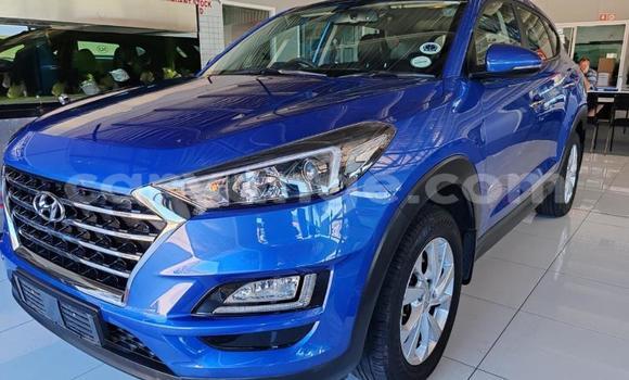 Buy Used Hyundai Tucson Blue Car in Gobabis in Omaheke Buy Used Hyundai Tucson Blue Car in Gobabis in Omaheke