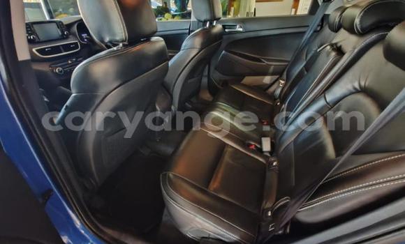 Buy Used Hyundai Tucson Blue Car in Gobabis in Omaheke Buy Used Hyundai Tucson Blue Car in Gobabis in Omaheke