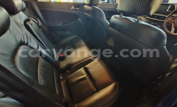 Buy Used Hyundai Tucson Blue Car in Gobabis in Omaheke Buy Used Hyundai Tucson Blue Car in Gobabis in Omaheke
