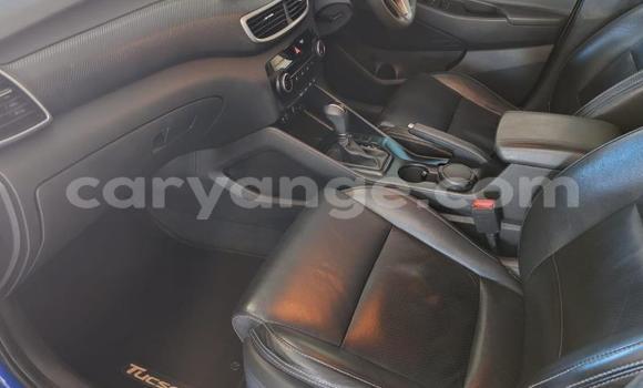 Buy Used Hyundai Tucson Blue Car in Gobabis in Omaheke Buy Used Hyundai Tucson Blue Car in Gobabis in Omaheke