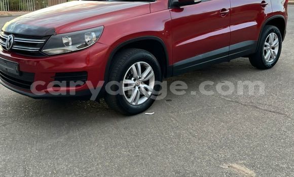 Buy Used Volkswagen Tiguan Red Car in Windhoek in Namibia Buy Used Volkswagen Tiguan Red Car in Windhoek in Namibia