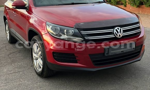 Buy Used Volkswagen Tiguan Red Car in Windhoek in Namibia Buy Used Volkswagen Tiguan Red Car in Windhoek in Namibia