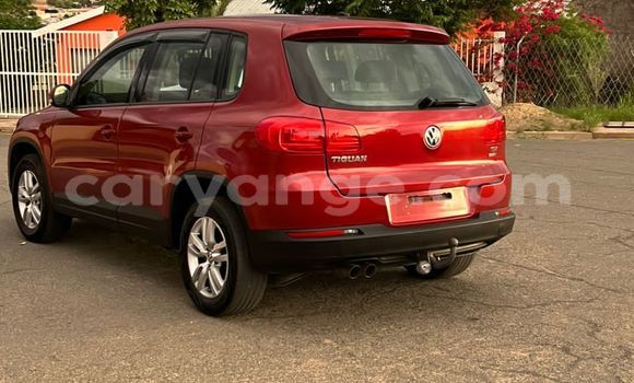 Buy Used Volkswagen Tiguan Red Car in Windhoek in Namibia Buy Used Volkswagen Tiguan Red Car in Windhoek in Namibia