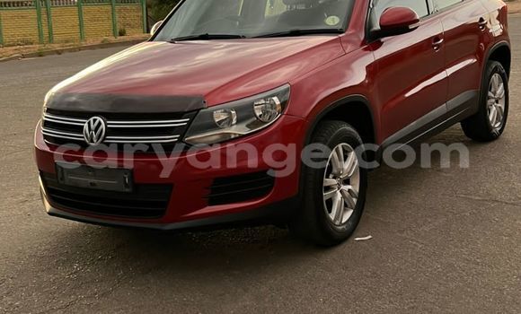 Buy Used Volkswagen Tiguan Red Car in Windhoek in Namibia Buy Used Volkswagen Tiguan Red Car in Windhoek in Namibia