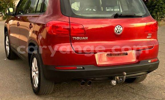 Buy Used Volkswagen Tiguan Red Car in Windhoek in Namibia Buy Used Volkswagen Tiguan Red Car in Windhoek in Namibia