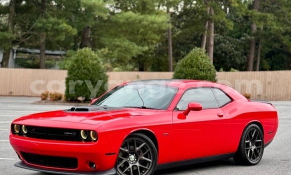 Buy Used Dodge Challenger Red Car in Windhoek in Namibia
