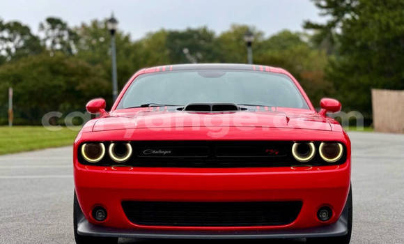 Buy Used Dodge Challenger Red Car in Windhoek in Namibia Buy Used Dodge Challenger Red Car in Windhoek in Namibia