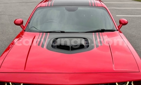 Buy Used Dodge Challenger Red Car in Windhoek in Namibia Buy Used Dodge Challenger Red Car in Windhoek in Namibia