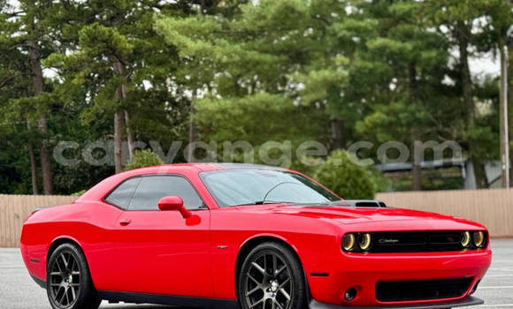Buy Used Dodge Challenger Red Car in Windhoek in Namibia Buy Used Dodge Challenger Red Car in Windhoek in Namibia