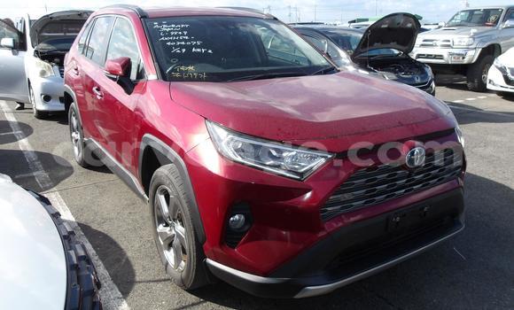 Buy Used Toyota RAV4 Red Car in Windhoek in Namibia