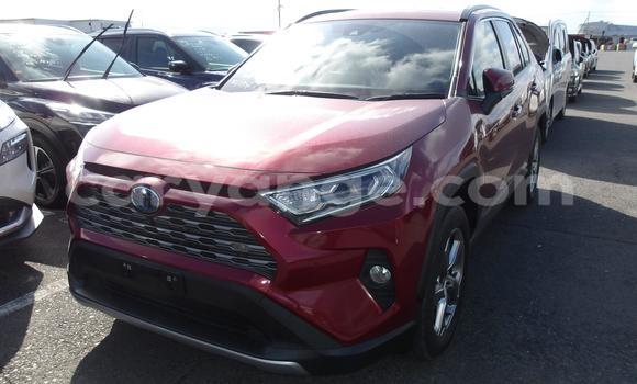 Buy Used Toyota RAV4 Red Car in Windhoek in Namibia Buy Used Toyota RAV4 Red Car in Windhoek in Namibia