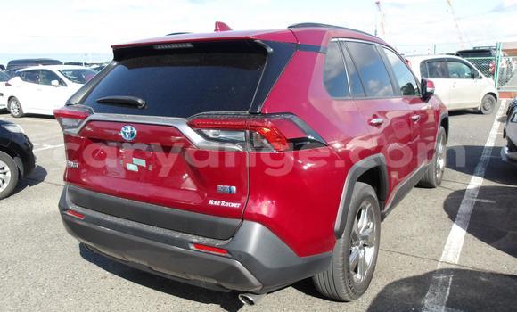 Buy Used Toyota RAV4 Red Car in Windhoek in Namibia Buy Used Toyota RAV4 Red Car in Windhoek in Namibia