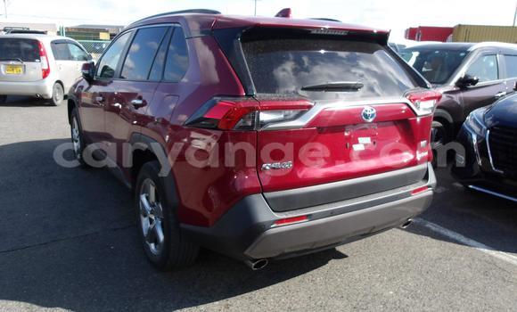 Buy Used Toyota RAV4 Red Car in Windhoek in Namibia Buy Used Toyota RAV4 Red Car in Windhoek in Namibia