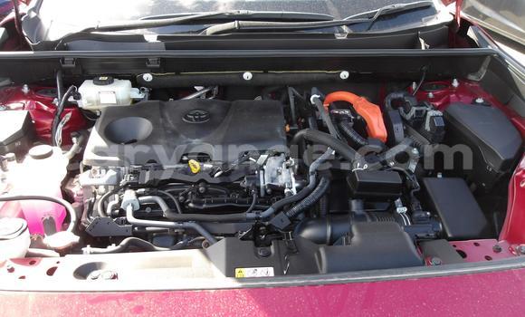 Buy Used Toyota RAV4 Red Car in Windhoek in Namibia Buy Used Toyota RAV4 Red Car in Windhoek in Namibia