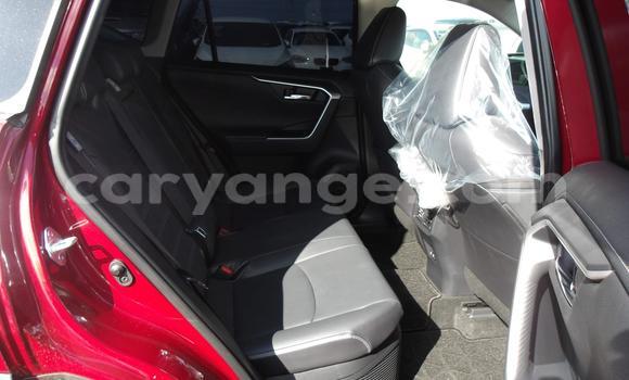 Buy Used Toyota RAV4 Red Car in Windhoek in Namibia Buy Used Toyota RAV4 Red Car in Windhoek in Namibia